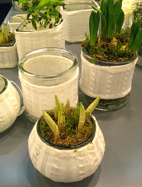 Umstrickte Gefässe – ein