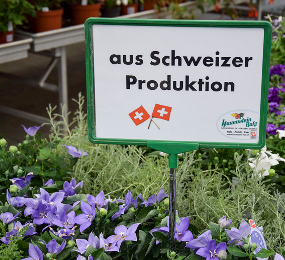 Viele Unternehmen punkten