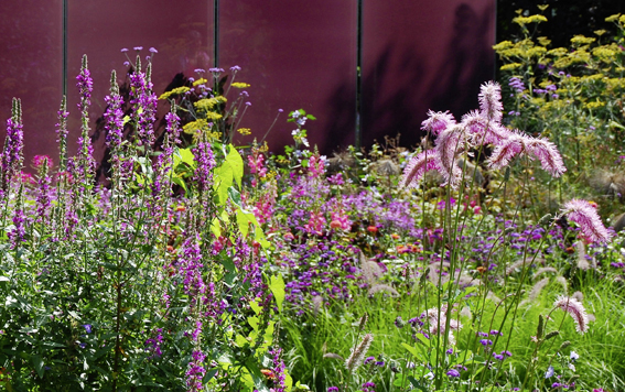  Harmonische Farb­symphonie: