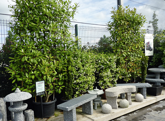Hecke als Convenience-Artikel: