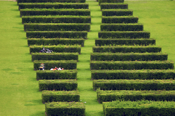 Jedem seine Hecke – hier