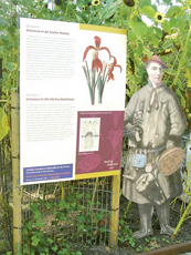 <p>«Sie sind sicher und freundlich im Umgang mit Kunden und haben sehr gute Gehölz- und Staudenkenntnisse.» Dieser Satz begegnet einem so oder in…</p>