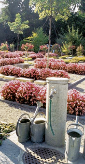 <p>In Einführungskursen werden Lehrlingen grundlegende praktische Fertigkeiten vermittelt. Zuständig für die überbetriebliche Ausbildung ist der Verband…</p>