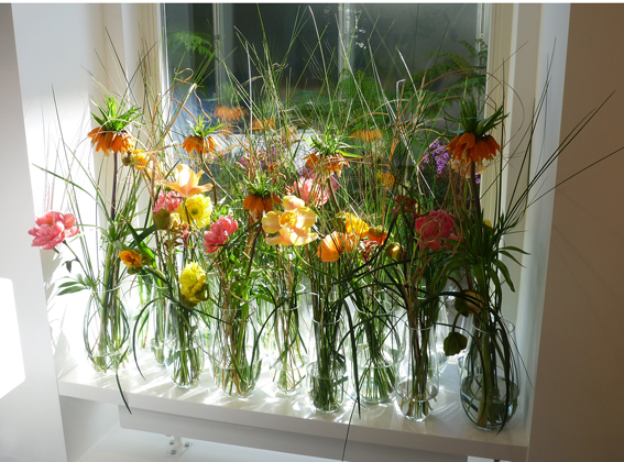 Die Blumen und ihre Farben