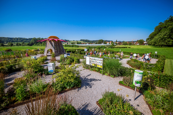 Die Pflanzenwelt des Naturheilkund