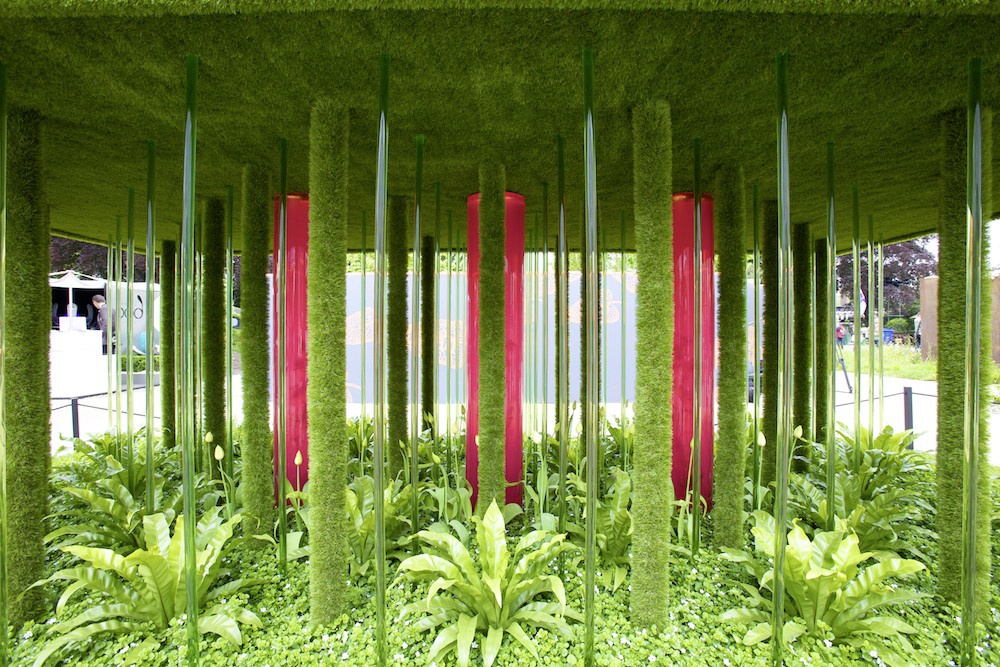 Green with … Bild: RHS.