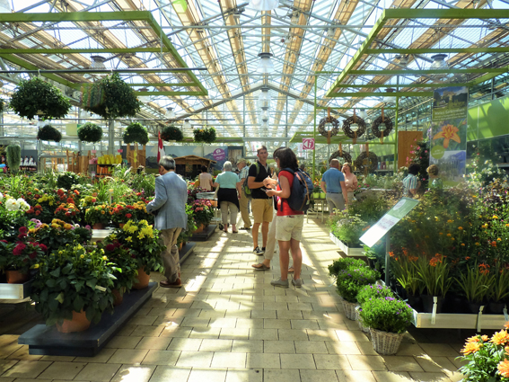 «Absolutely amazing» –