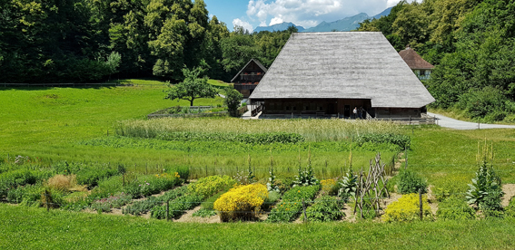 Bauerngärten und Felder