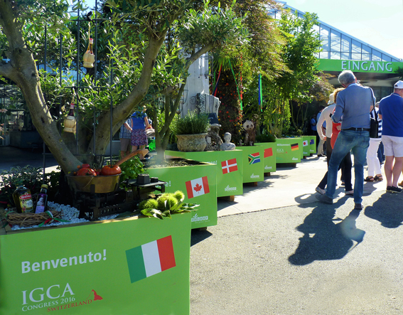 Von der Zulauf AG wurde die