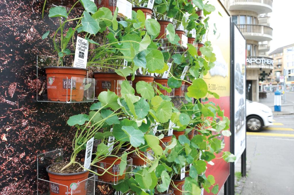 Stecker in jedem Topf.