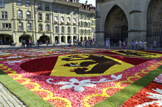 Das Berner Wappen, gelegt
