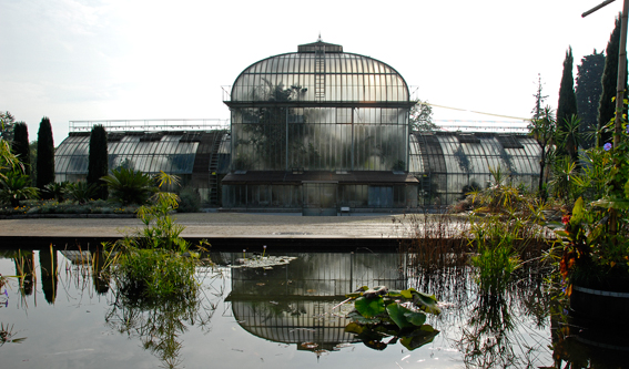 Der Botanische Garten Genf