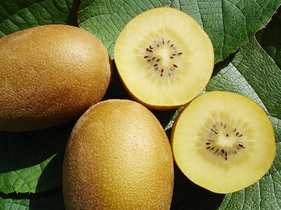 Grossfruchtige Kiwis haben