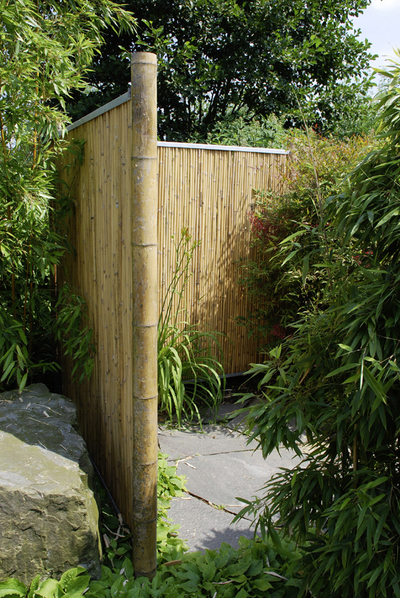 Bambuswand – natürlicher