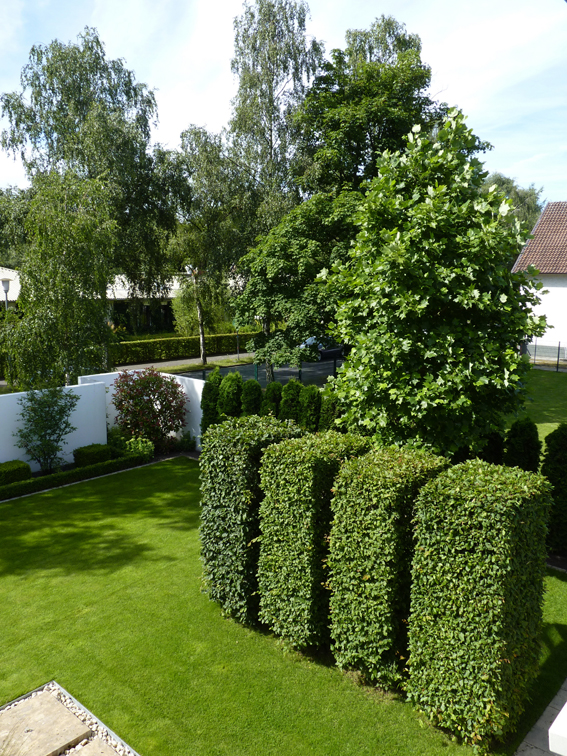 Bei Hecken besteht die Pflicht