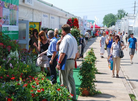 Das Ausstellungsangebot ist