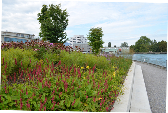 1 Im ehemaligen Industriequartier