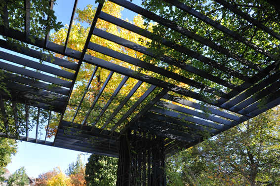 Die Klematislaube entstand