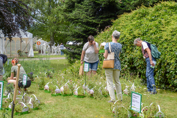 Die Wildblumenziegel fanden