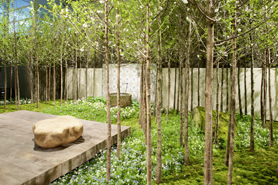 Moosteppiche, Blumenfelder