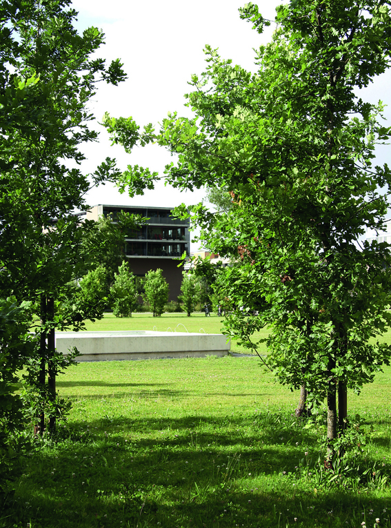 Dank der überzählig gepflanzten