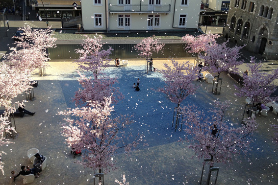 Das Ausarbeiten verschiedener