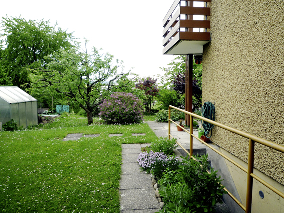 Ein Gewächshaus auf der