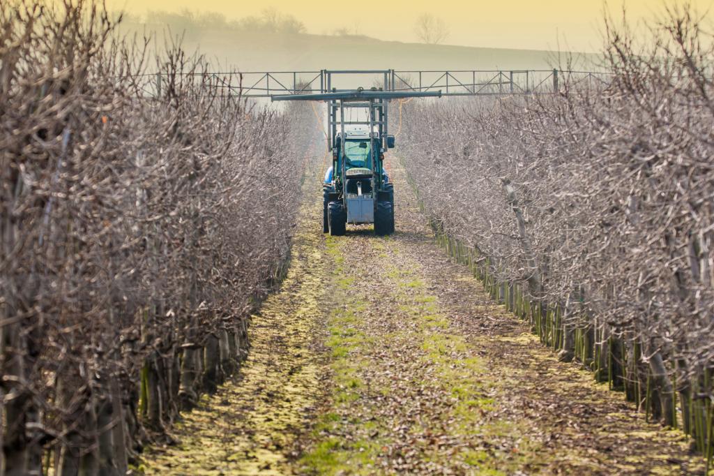 Bild: Ralf Geithe/Fotolia