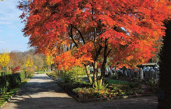 Friedhöfe bringen Natur