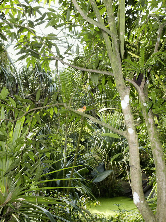 Prominentes Projekt in Zürich: