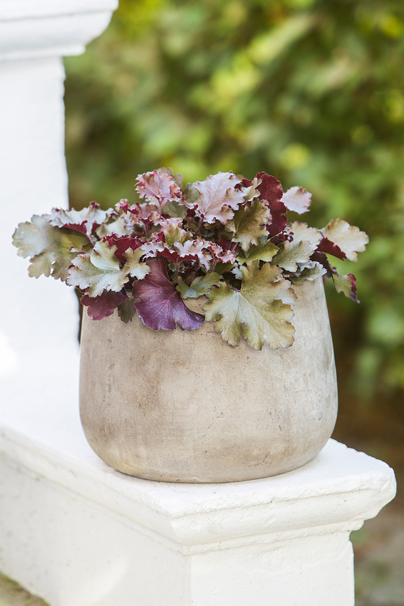 Herbst 2015: Silent Living.