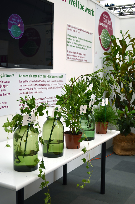 Die fünf spezifischen Pflanzenart