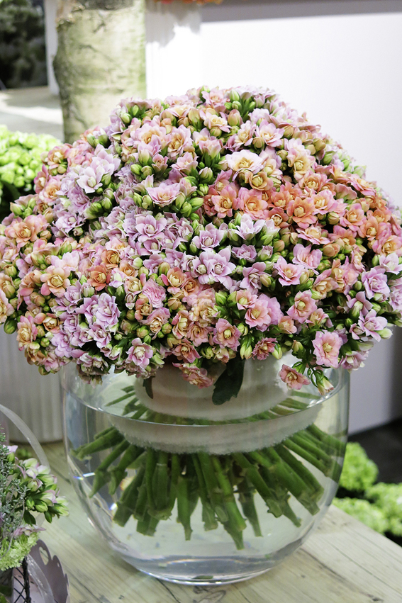 Lange Stiele und lange Haltbarkeit