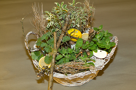 Geschenkidee «Erkältungskörbche