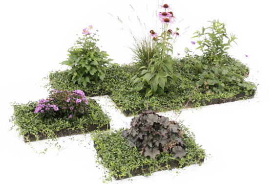 Sellana – Pflanzenziegel