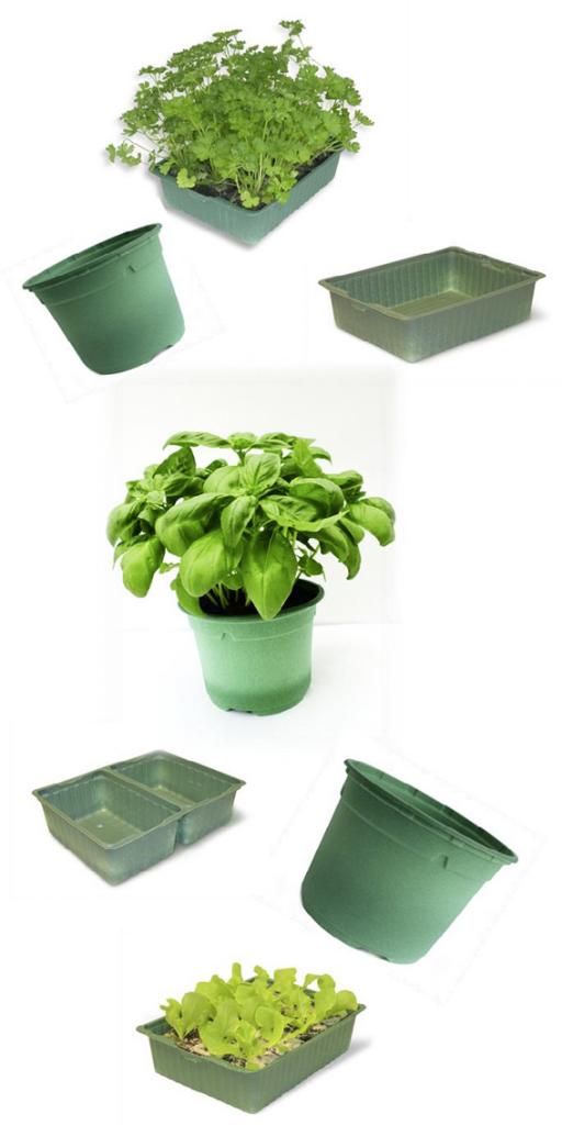 Biotöpfe von Max Schwarz.