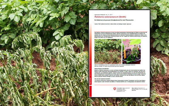 Das Merkblatt informiert