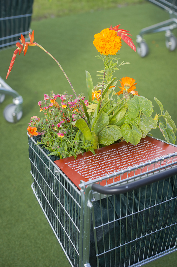 Geschichten im bepflanzten