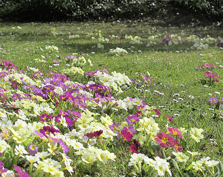 Mit den warmen Temperaturen