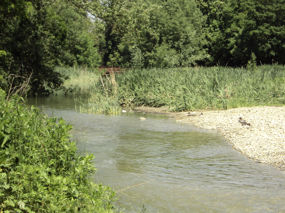 Derselbe Fluss in einem anderen