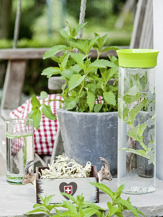 Mit «Swissness» punktet