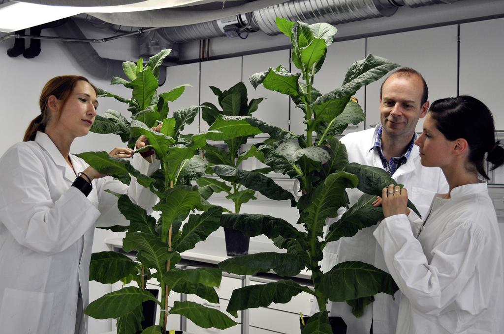 Dirk Prüfer und seine Kolleginnen