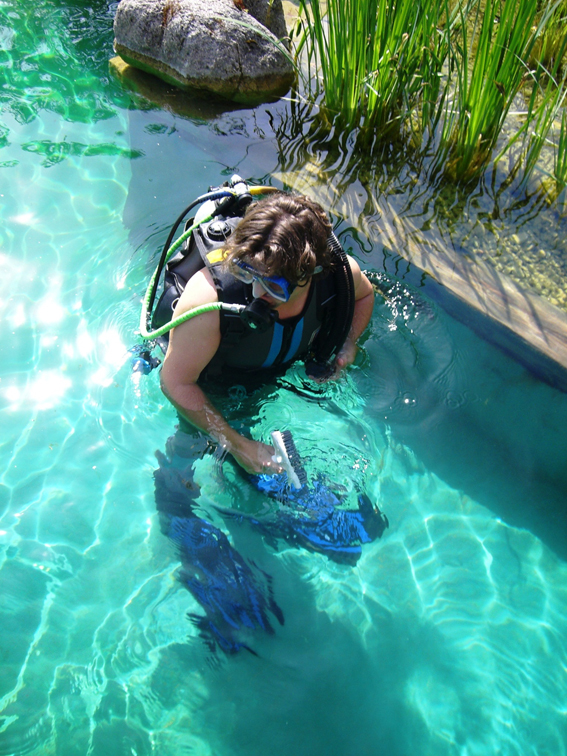 Mit Algen überzogene Wände