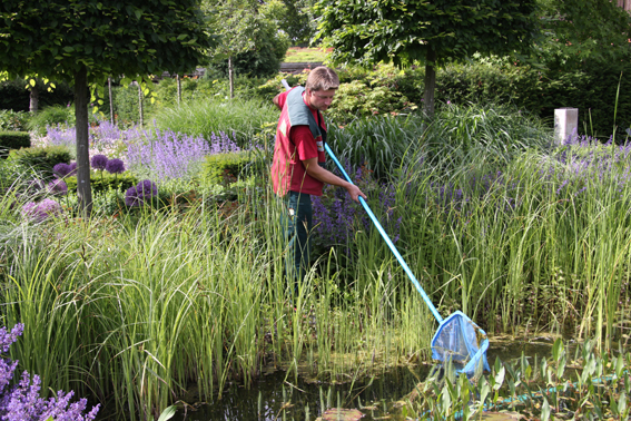 Teichpflege ist nicht nur