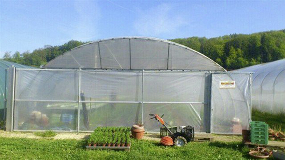 Tunnel-Giebelwand (Sansonnens