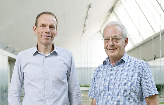 Wechsel an der Spitze von