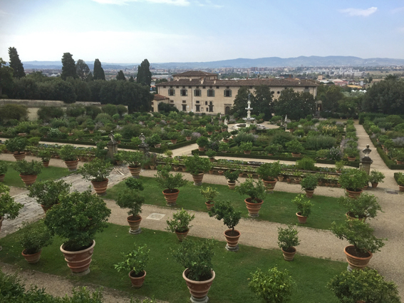 Die Zitrusfruchtsammlung