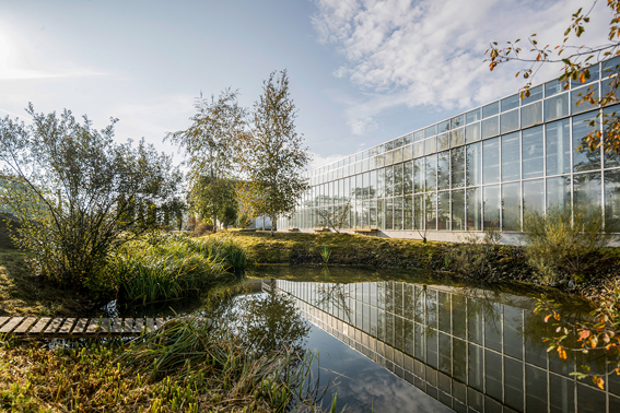 Auch ein Regenwasser-Speicherbecke