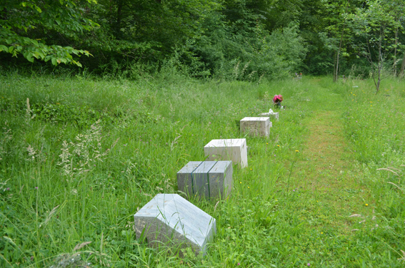 Wiesengräber für Urnenbeisetzung